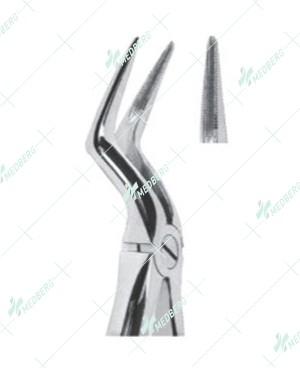 Extracting Forceps, ½ Upper roots with serrated tips