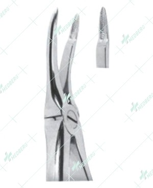 Extracting Forceps, Upper roots with serrated tips