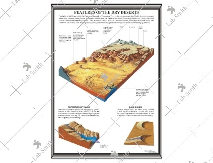 Features of the Dry Desert