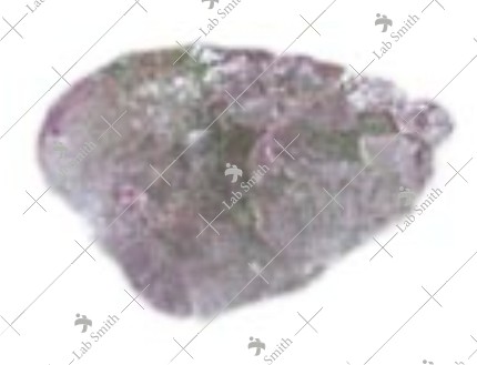 FLO-01
