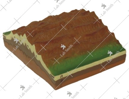 Fold Mountains