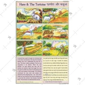 Hare & The Tortoise Chart