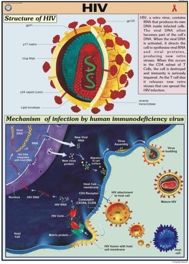 HIV