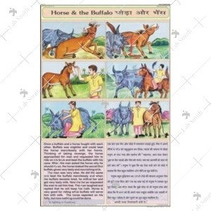 Horse & Buffalo Chart