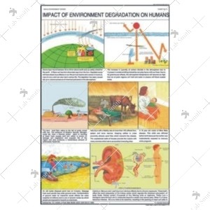 Impact of Environment Degradation on Humans