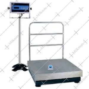 Platform Scale (Electronic)