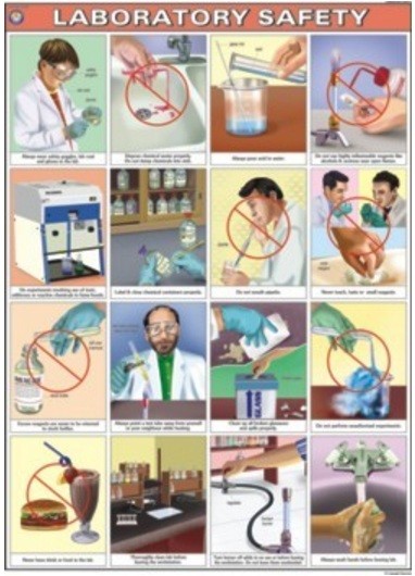 Laboratory Safety Chart
