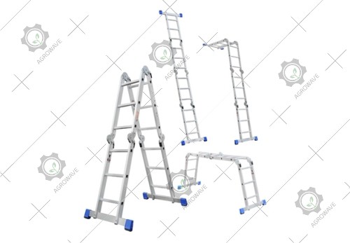 Folding Ladder