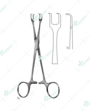 Lahey Forceps