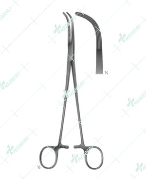 Lahey Gall Bladder Instrument, 220 mm