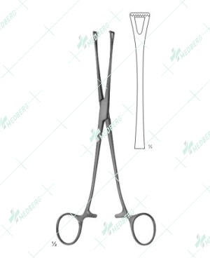 Lockwood Abdominal Intestinal Instrument, 200 mm