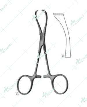 Lorna Clamps