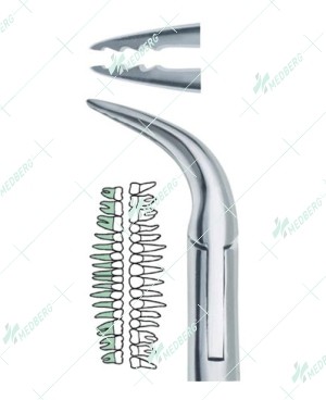 Lower Atraumatic Extraction Root Forceps