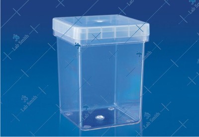 Economy Magenta Box