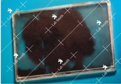 Magnetic Field Demonstrator, Students