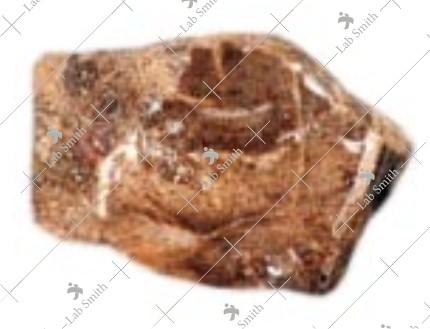 Marble Chocolate (M)