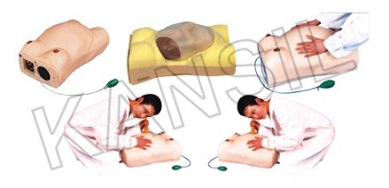 Maternity Examination Model
