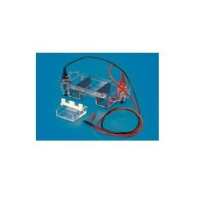  Mini Submarine Electrophoresis Unit