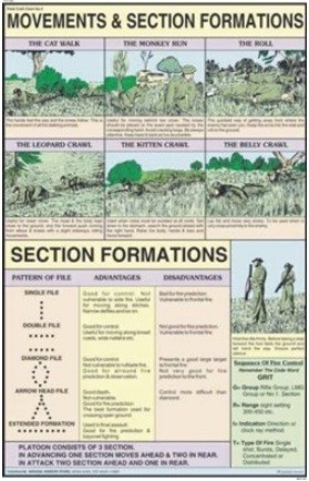 Movements & section formation Chart
