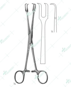 Museux Forceps
