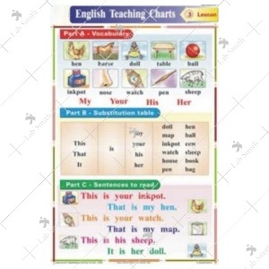 My, Your, His, Her Chart