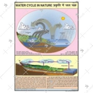 Nature Water Cycle Charts