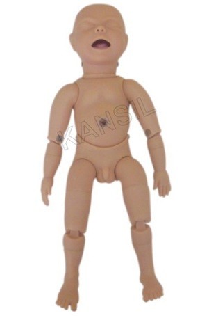 New Born Baby Model