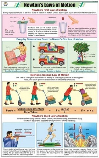 Newton's Laws of Motion Chart