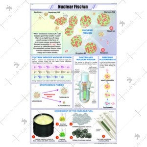 Nuclear Fission