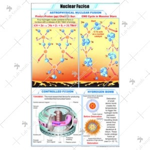 Nuclear Fusion