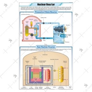 Nuclear Reactor