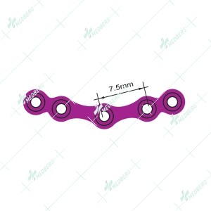 Orbital Plate with Bridge, 