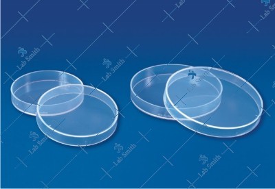 Economy Petri Dish
