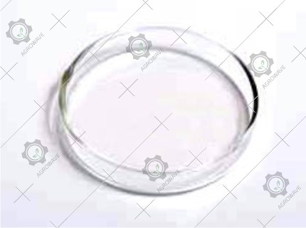 Petri Dish
