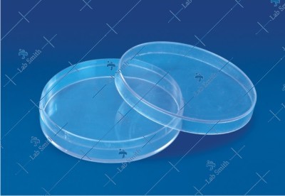 Economy Petri Dish (Culture)