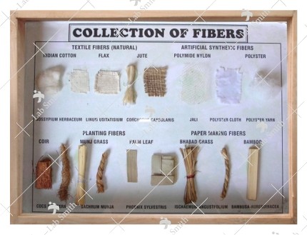 Collection of Fibers