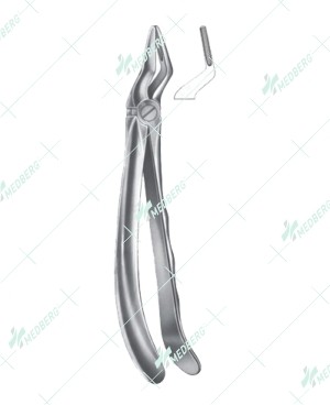 Relax - Extracting Forceps, upper roots