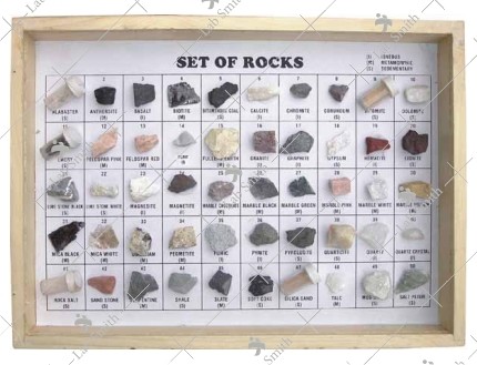 Collection of 50 Rocks