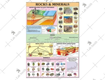Rocks & Mineral