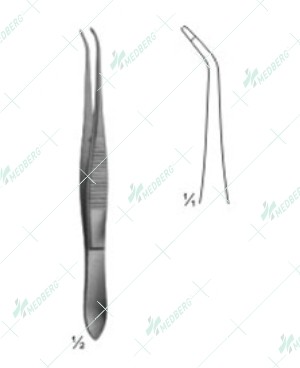 Saupe Forceps