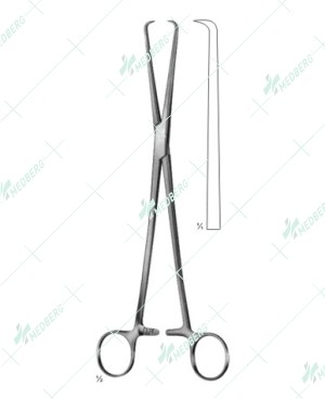 Schroder Forceps