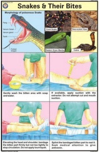 Snakes & their bites Chart