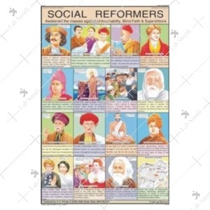 Social Reformer Chart
