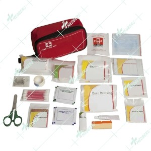 Travel Safety Kit