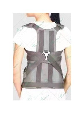 Taylor Brace (Short /Long Type)