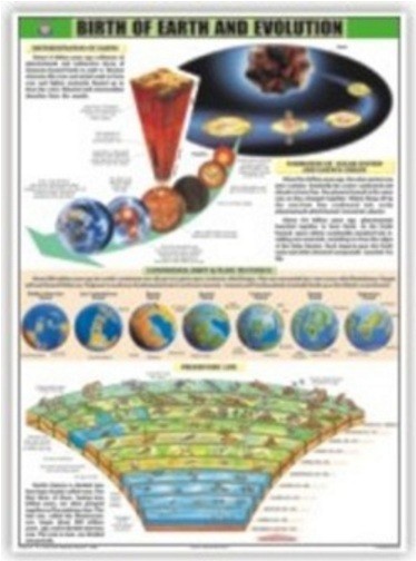 The Birth of the Earth and Evolution Chart