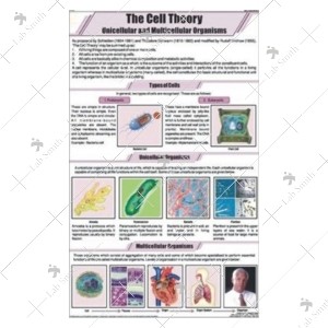 The Cell Theory Chart