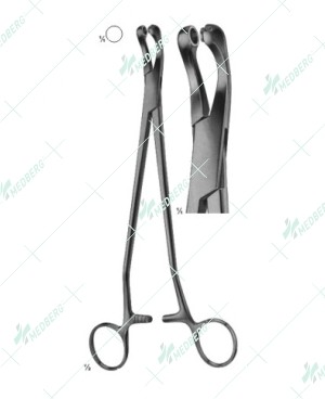 Thomas Biopsy Instrument, 240 mm