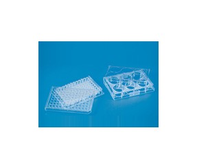 Tissue-culture-plate-sterile
