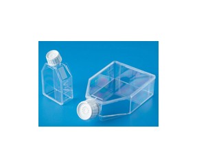 Tissue culture flask with fillter cap-steri